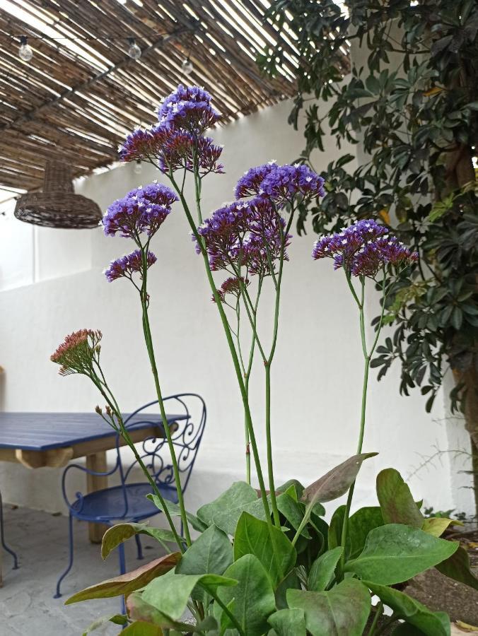 Surf & Kite - Villa Nortada Charneca  Exterior foto